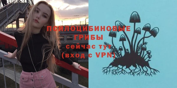 круглые Лагань