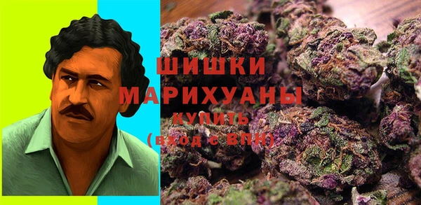 дмт Ладушкин