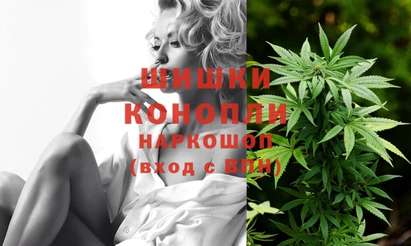 ПСИЛОЦИБИНОВЫЕ ГРИБЫ Лабытнанги