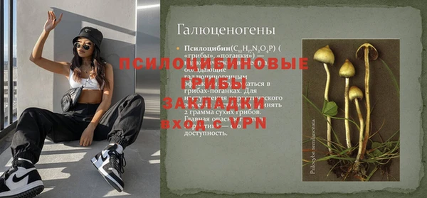 ПСИЛОЦИБИНОВЫЕ ГРИБЫ Лабытнанги