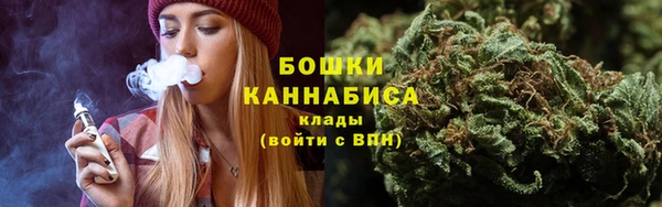 ПСИЛОЦИБИНОВЫЕ ГРИБЫ Лабытнанги